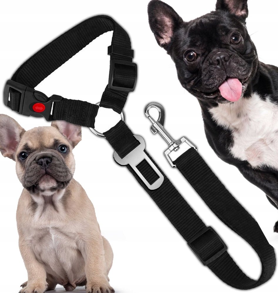 SMYCZ DLA PSA KOTA PAS BEZPIECZEŃSTWA DO AUTA SAMOCHODU NA ZAGŁÓWEK +WPINKA