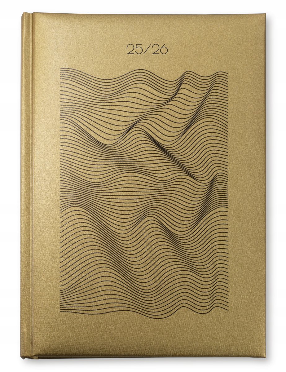 KALENDARZ NAUCZYCIELA MINIMALISTYCZNY GRAFIKA A5 2025/2026 RIOS ZŁOTY
