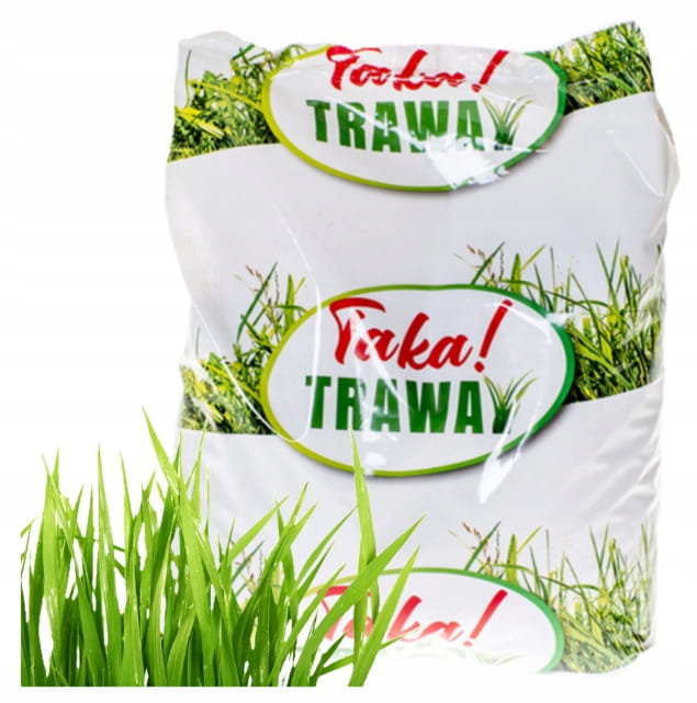 Nasiona trawy 2 kg Idealny trawnik w Twoim ogrodzie