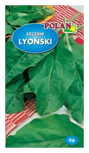 Szczaw Lyoński 2g nasiona szczawiu Polan 2g