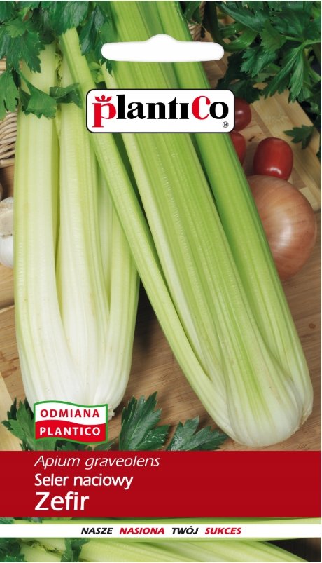 Seler Naciowy Zefir 0,5g Nasiona Plantico Odmiana średniowczesna