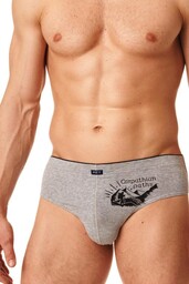 Slipy męskie bawełniane (2 pack) z górską grafiką MPP 868