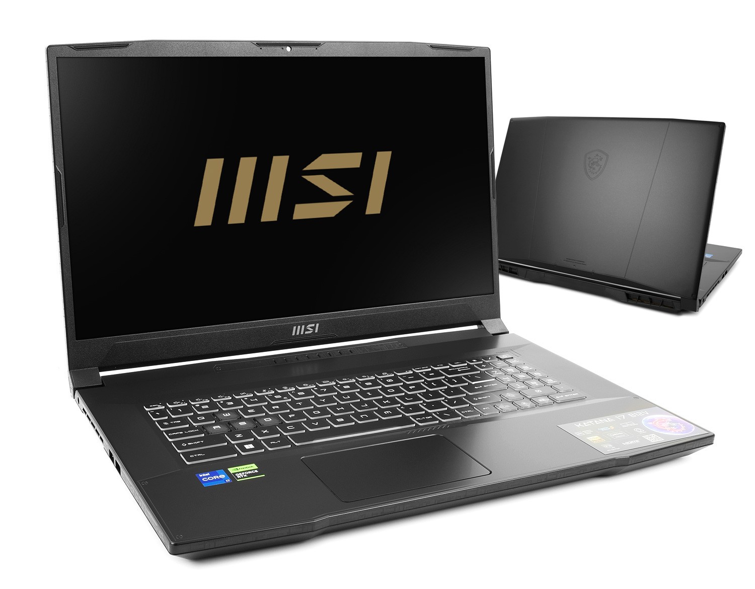 MSI Katana 17 B13VEK-1261XPL - i7-13620H 17,3'' 64GB 1TB No OS RTX 4050