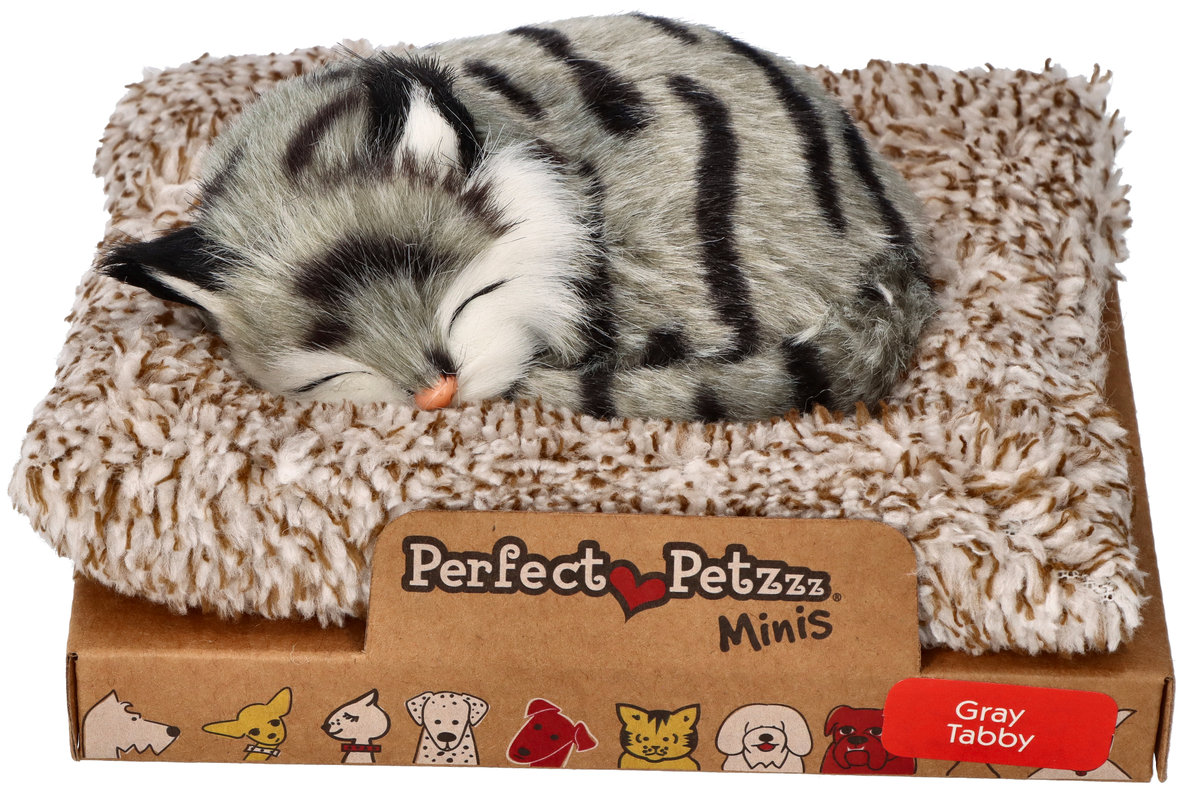 Perfect Petzzz Mały kociak szary pręgowany