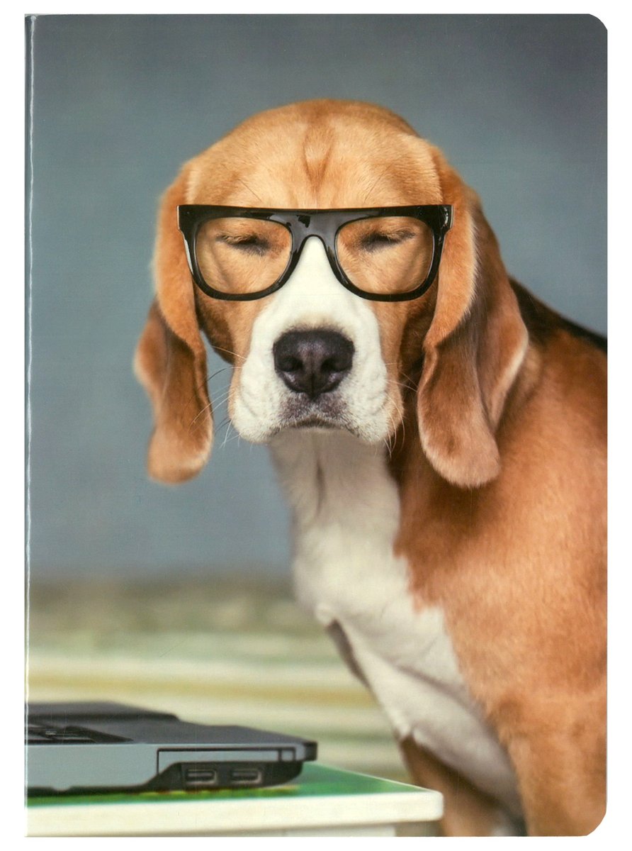 Zeszyt A5 60k kratka Penword