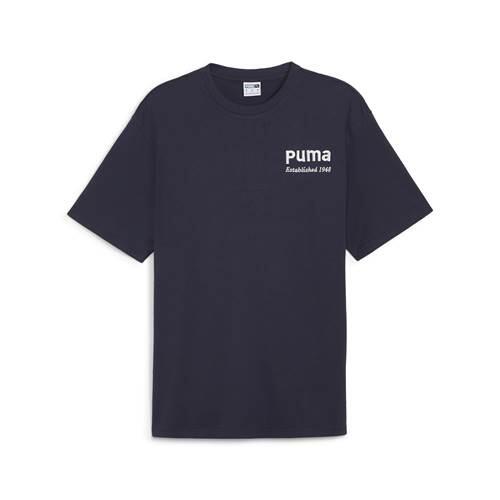Koszulka sportowa męska Puma Team Graphic Tee