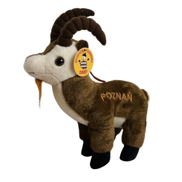 Kozica Duża Poznań