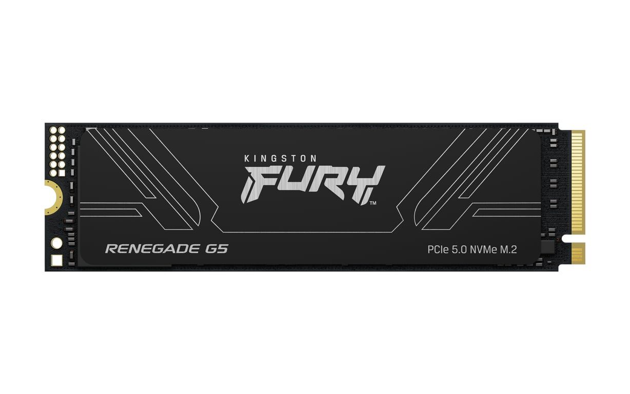 Kingston Technology FURY Renegade G5 2,05 TB M.2 PCI Express 5.0 NVMe 3D TLC SFYR2S/2T0