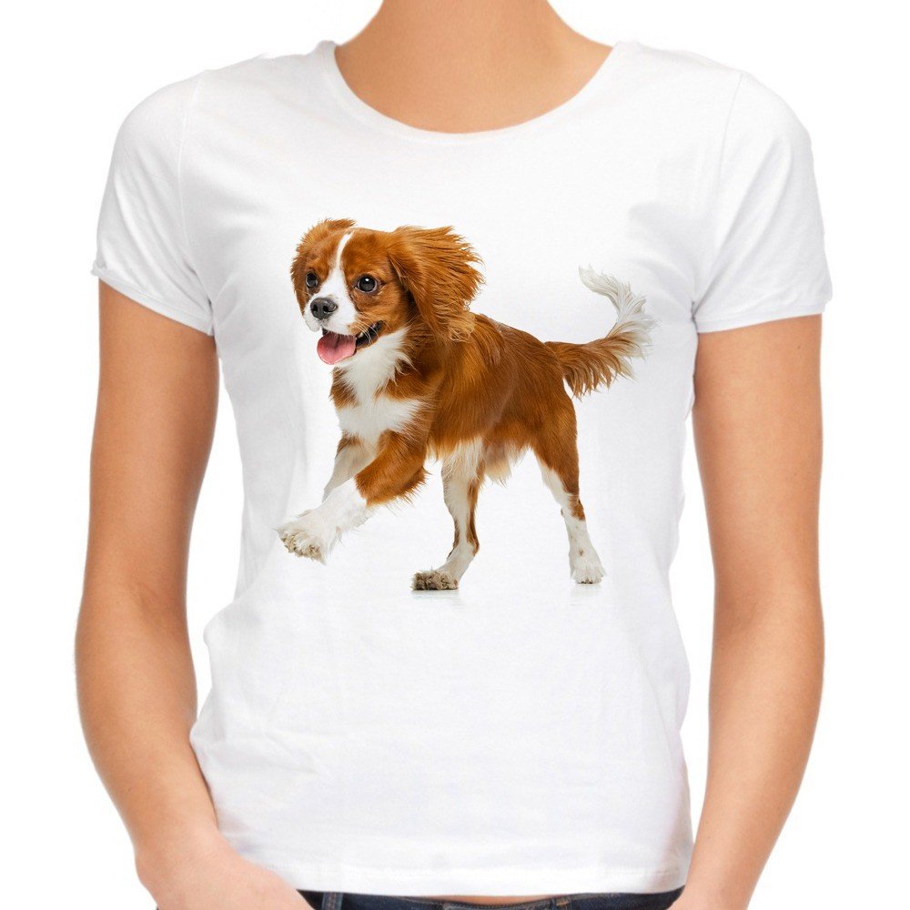 Koszulka pies Cavalier King Charles spaniel damska