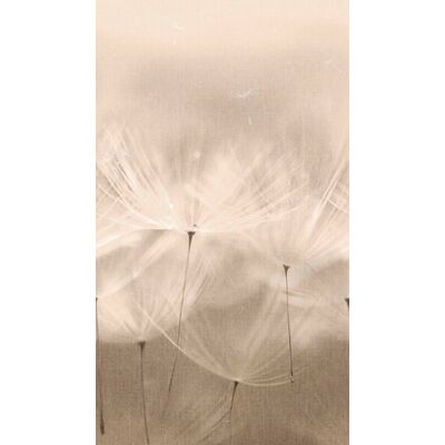 Mural druk cyfrowy winylowy na flizelinie dmuchawce