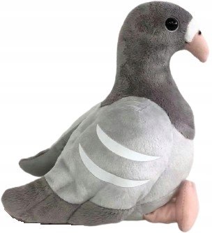 Gołąbek Szary DUBI - 24cm