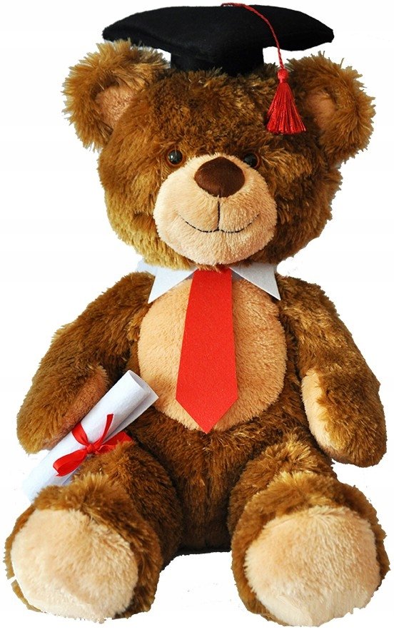Maskotka Miś brązowy szkolny absolwent - 55cm