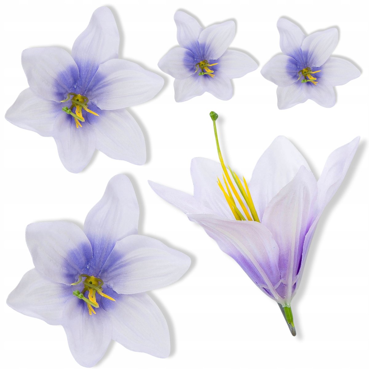 Główka kwiatowa Lilii Małe 11cm Kwiaty Liliowa Lilia do bukietu 12sztuk