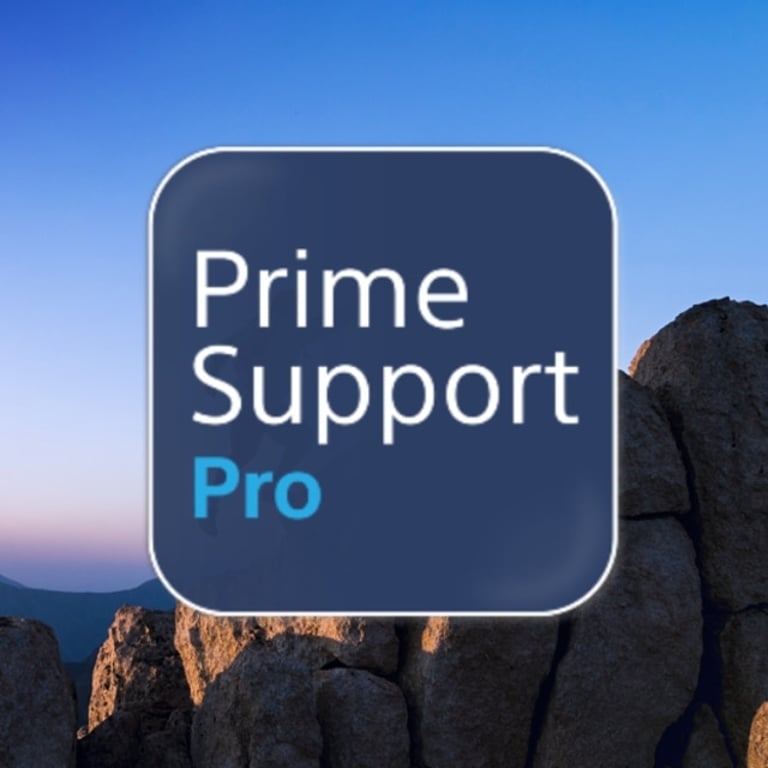 Sony 2Y PrimeSupport Pro 1 x licencja 2 lat(a)