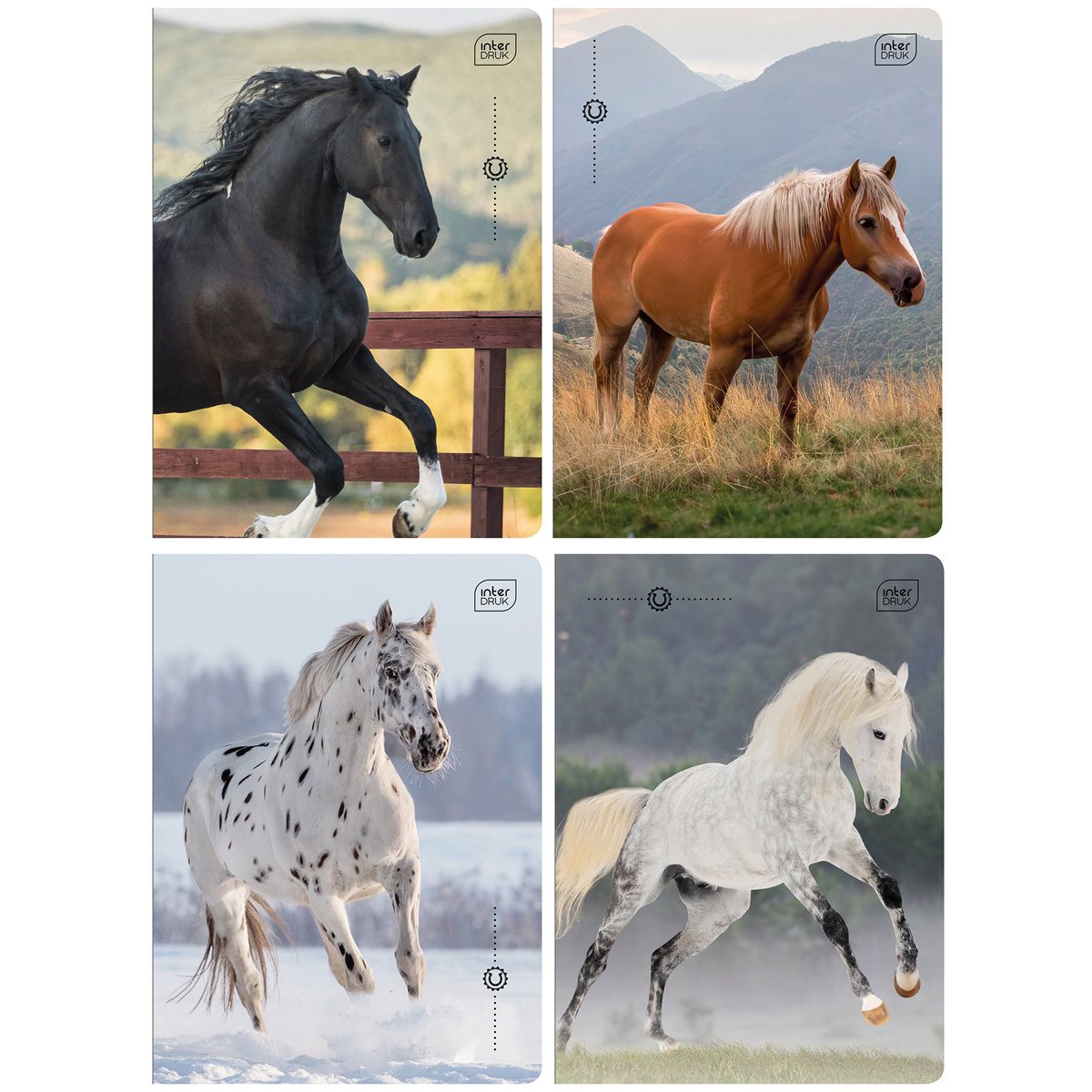 4X ZESZYT A5, 32 KARTKI, W TRZY LINIE, KONIE / HORSES, INTERDRUK