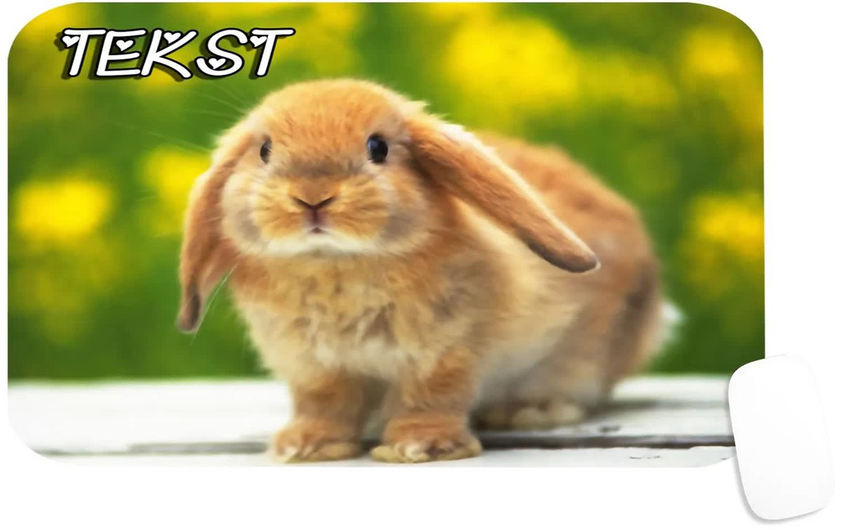 Podkładka Pod Myszkę Z Nadrukiem Króliczek Zwierzaki-Tekst -29X36