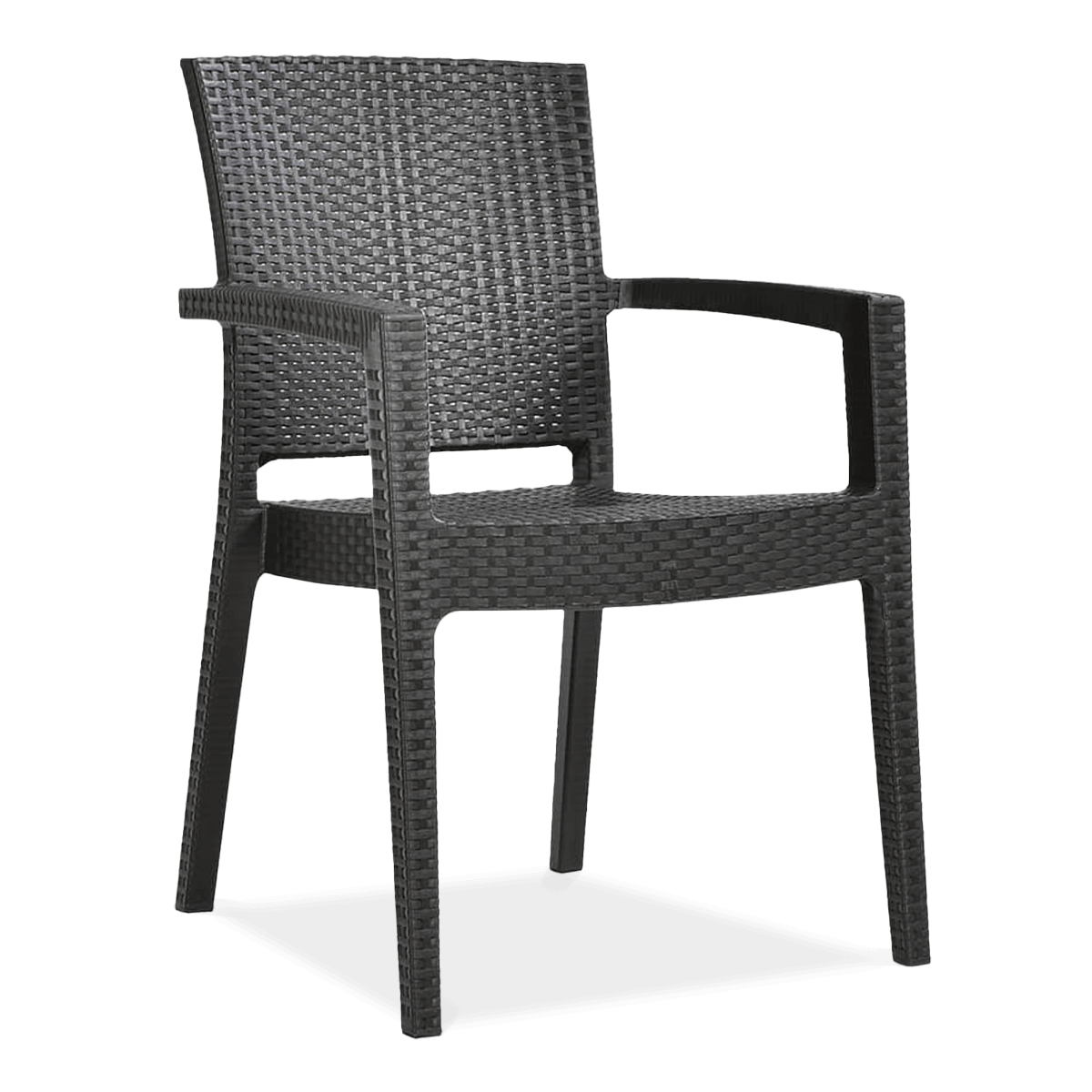 PARIS Brown - Novoussi