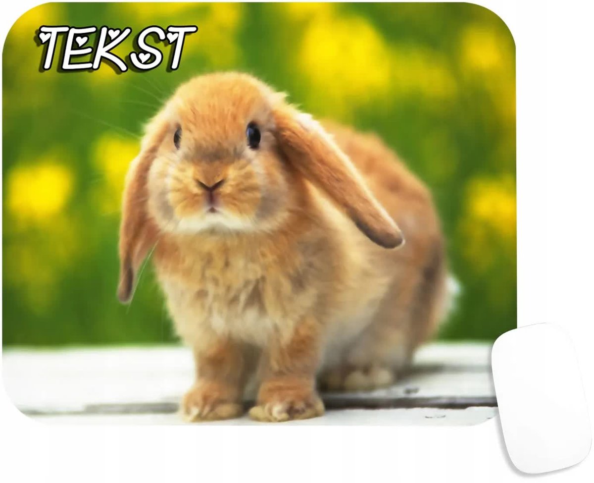 PODKŁADKA POD MYSZKĘ Z NADRUKIEM KRÓLICZEK ZWIERZAKI-TEKST -20X24