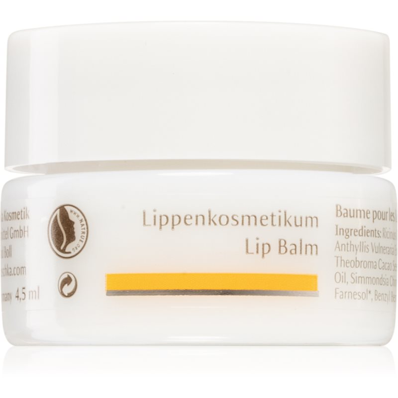 Dr. Hauschka Dr Hauschka Dr Hauschka Eye And Lip Care odżywczy balsam do ust Lip Balm) 4,5 ml