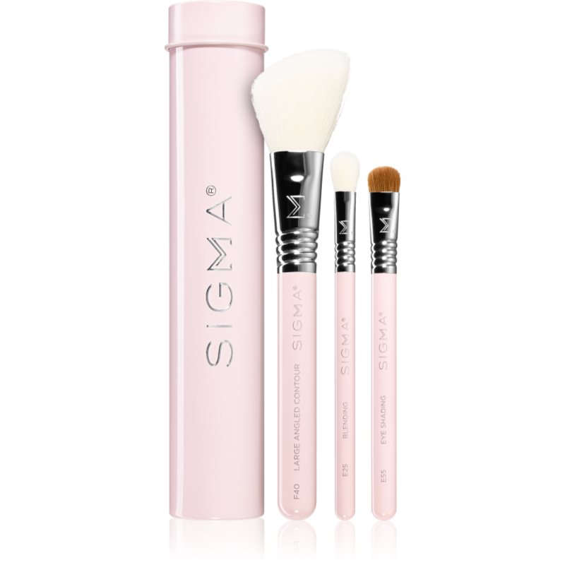 Sigma ESSENTIAL TRIO BRUSH SET - Zestaw 3 pędzli do makijażu + mini tuba - Pink SIGPMTPI