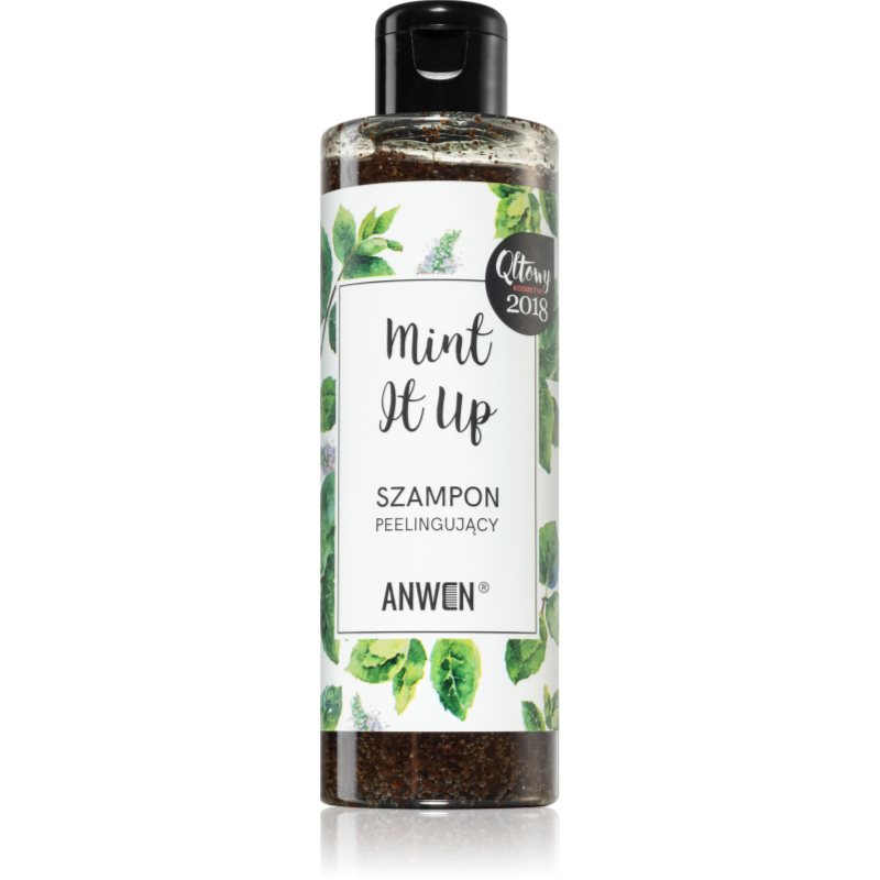 Anwen Anwen Mint It Up szampon peelingujący 200ml