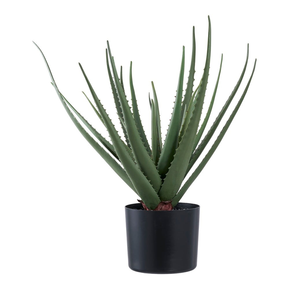 Sztuczna roślina (wysokość 51 cm) Aloe Vera – House Nordic