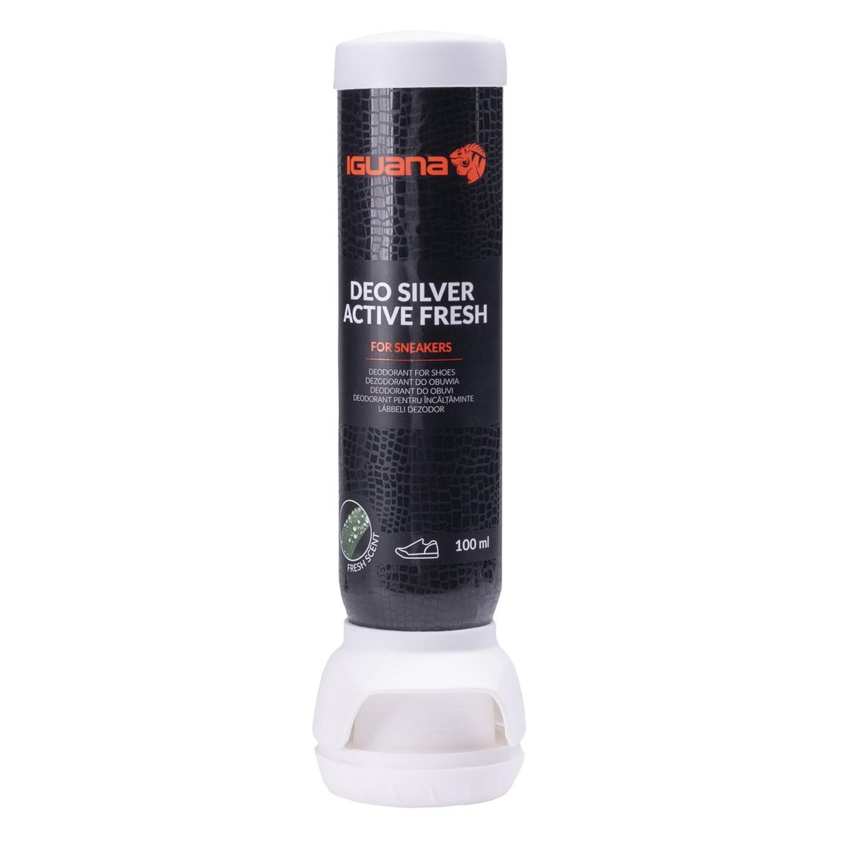 Środek pielęgnacyjny DEO SILVER ACTIVE FRESH 100 M