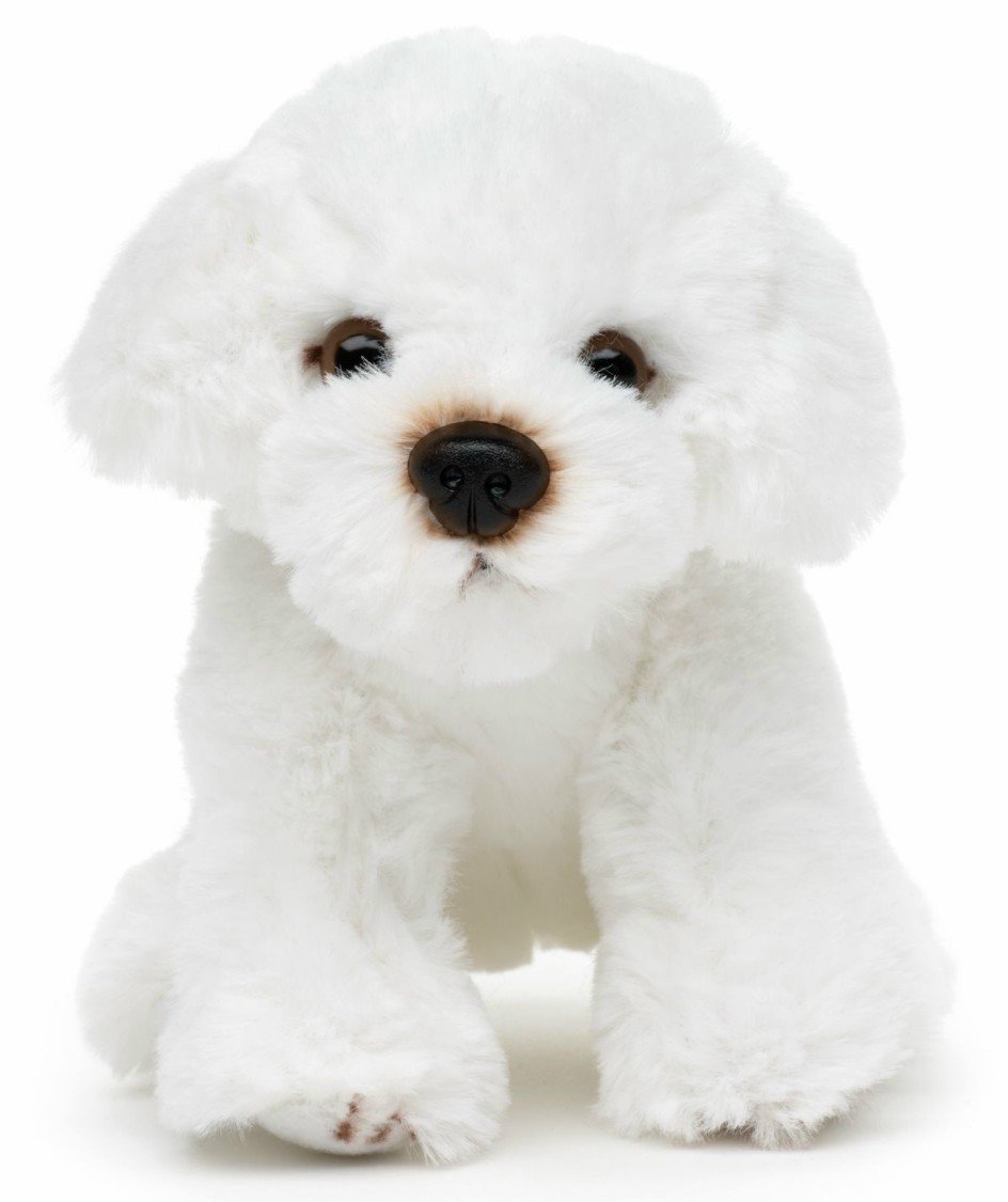 Maskotka Piesek Maltańczyk - 13cm
