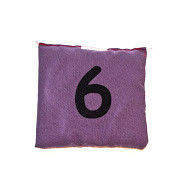 Akson, Worek gimnastyczny szkolny z cyferką 6, fioletowy