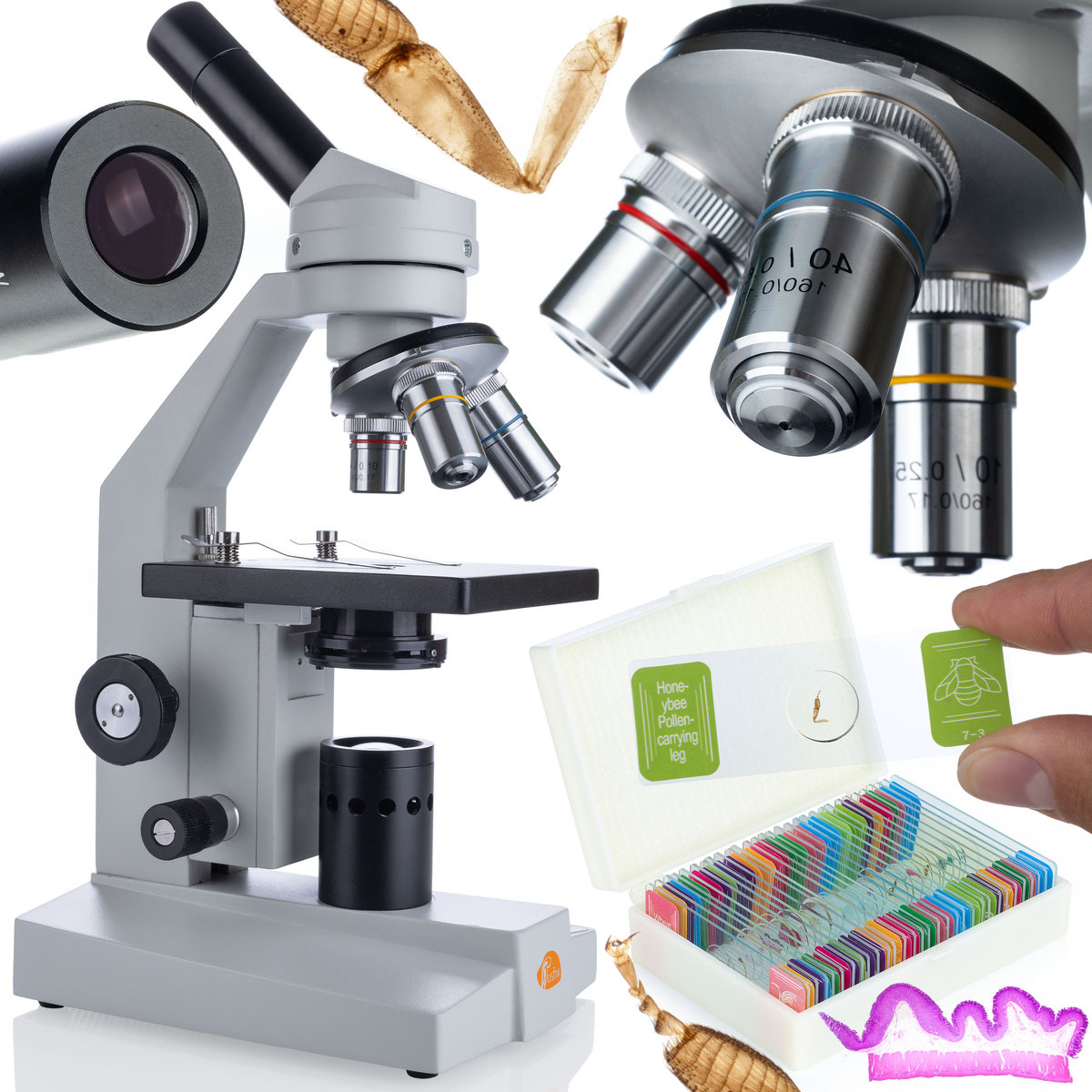 Mikroskop biologiczny Uran Pro MBUP z zestawem preparatów do obserwacji