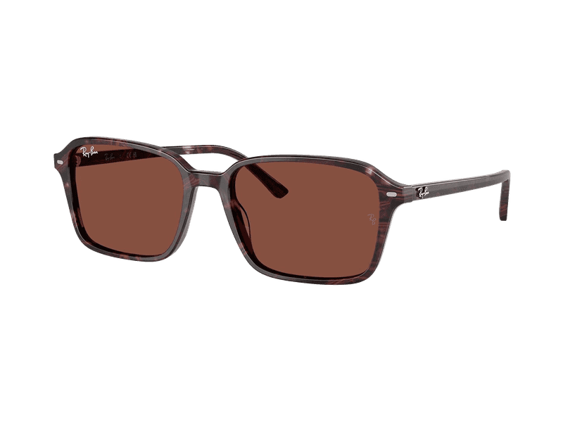 Okulary przeciwsłoneczne Ray-Ban Raimond RB2231 1416C5