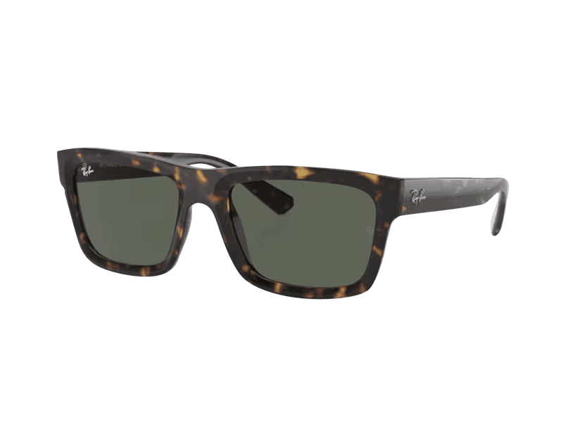 Okulary przeciwsłoneczne Ray-Ban Warren RB4396 135971