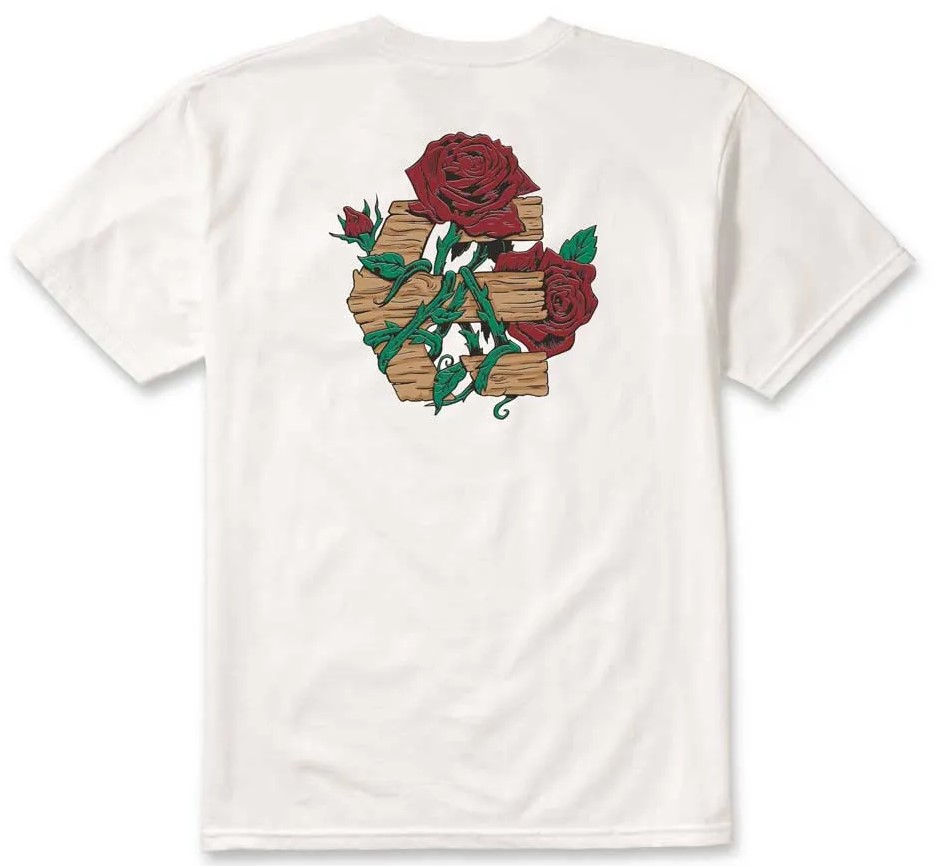 t-shirt ETNIES ROSE ARROW TEE WHITE