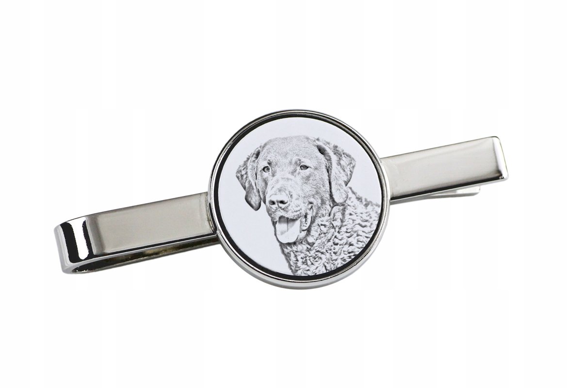 Chesapeake Bay Retriever - spinka do krawata z psem, personalizowany klips