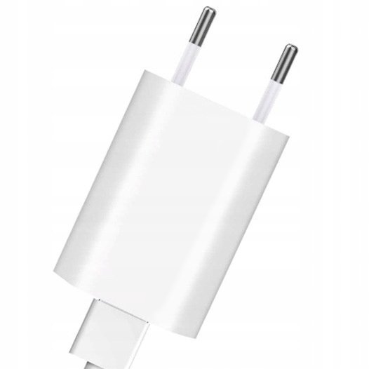 ŁADOWARKA SIECIOWA USB DO SMARTWATCHA DT 1A