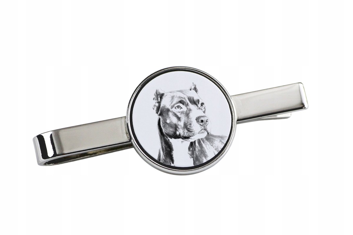 Amerykański pitbulterier, Pit Bull, American Pit Bull Terrier, Pitbul, APBT