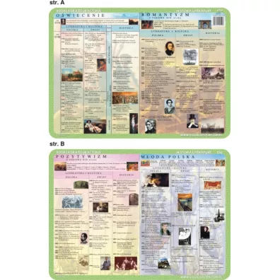 Visual System Podkładka edukacyjna. Literatura. Oświecenie