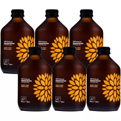 Vigo Yoko Kombucha z imbirem i acerolą bezglutenowa Zestaw 6 x 315 ml Bio