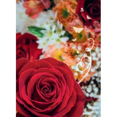 Karnet B6 Uniwersalny