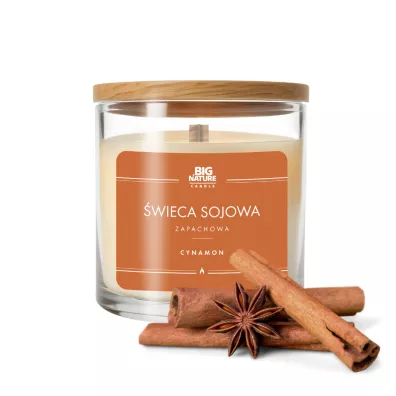Big Nature Świeca sojowa zapachowa Cynamon 150 g