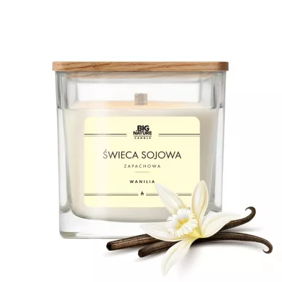 Big Nature Świeca sojowa zapachowa Wanilia 205 g