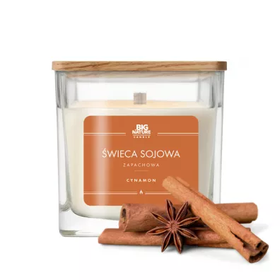 Big Nature Świeca sojowa zapachowa Cynamon 205 g
