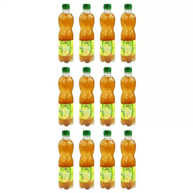 Bio Linie Kombucha herbata zielona zgrzewka 12 x 500 ml Bio