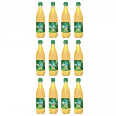 Bio Linie Kombucha herbata zielona z aloe vera zgrzewka 12 x 500 ml Bio
