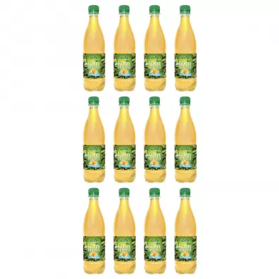 Bio Linie Kombucha herbata zielona z cytryną zgrzewka 12 x 500 ml Bio