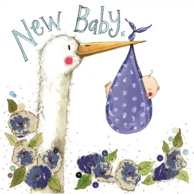 Alex Clark Karnet Narodziny S290 Chłopiec Bocian