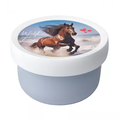Mepal Fruit Box pudełko na owoce Campus Wild Horse 107430065401 300 ml