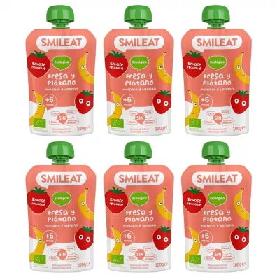 Smileat Mus z ekologicznymi truskawkami i bananem po 6 miesiącu Zestaw 6 x 100 g Bio
