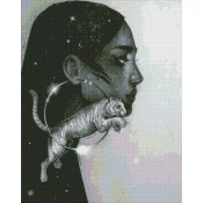 Ideyka Diamentowa mozaika - Gwiazdozbiór Tygrysa 40x50cm