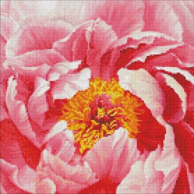 Ideyka Diamentowa mozaika - Kolorowa piwonia 40x40cm